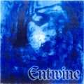 Entwine - The Treasures Within Hearts