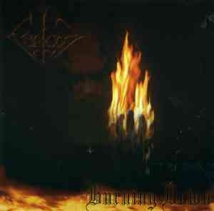 Forgot - Burning Down (CD)