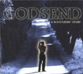 Godsend - A Wayfarer S Tears