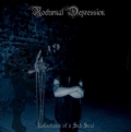 Nocturnal Depression - Reflections of a Sad Soul