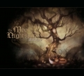 The Moon and the Nightspirit - Mohalepte