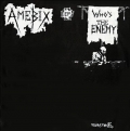 Amebix - Who's the Enemy