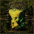 Annotations Of An Autopsy  - Welcome to Sludge City