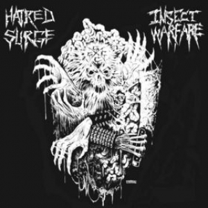Insect Warfare - Insect Warfare / Hatred Surge Split