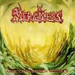 Merciless - The Treasures within