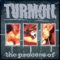 Turmoil - The Process of