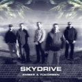 Skydrive - Ember a tkrben (2013)